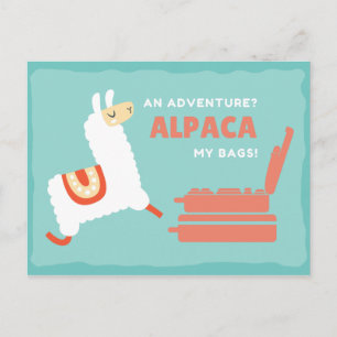 Funny White Alpaca Travel Postcard