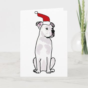 Funny White American Bulldog Christmas Design Holiday Card by Petspower at Zazzle