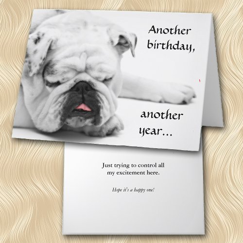 Funny White Bulldog Birthday