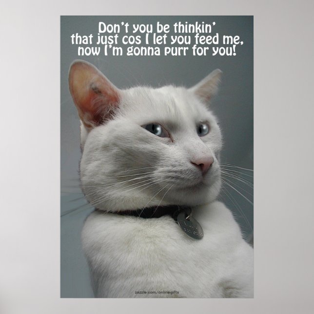 Funny White Cat Humor Pet-lover's Poster (Front)