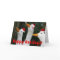 Funny White Ducks Wearing Red Santa Caps 