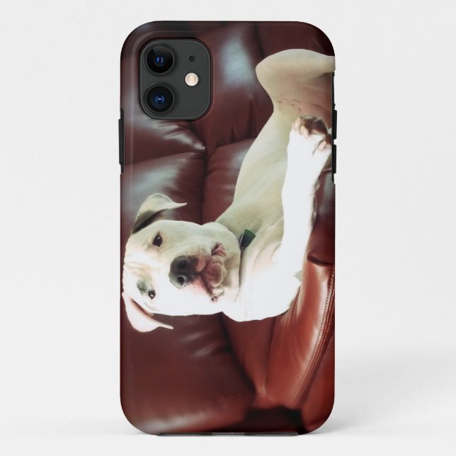 funny white pit bull dog on the couch Case-Mate iPhone case (Back)