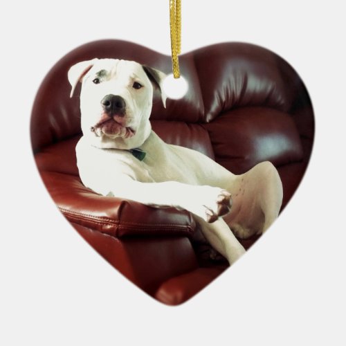 funny white pit bull dog on the couch ceramic ornament