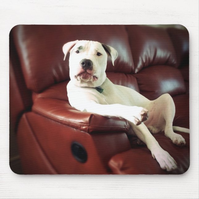 funny white pit bull dog on the couch mouse pad (Front)