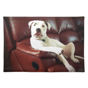 funny white pit bull dog on the couch placemat