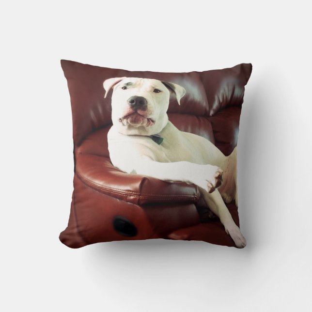 funny white pit bull dog on the couch throw pillow (Front)