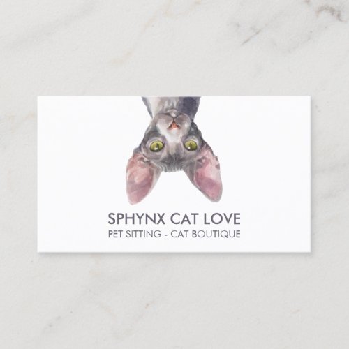 Funny White Sphynx Cat Business Card