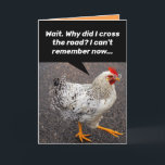 Funny Why Did The Chicken Cross The Road? Birthday Card<br><div class="desc">Why did the chicken cross the road? You've heard it before. This time the chicken is asking itself,  why he/she crossed the road. This chicken is old and can't remember. We've all been there. The answer of course is to say,  Happy Bird-Day!</div>