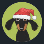 Funny Wiener Dog Santa | Dachshund Christmas Xmas Classic Round Sticker<br><div class="desc">A cute Dachshund lover’s Christmas sticker,  great for sealing gifts and envelopes this holiday season. Adorable black and tan longhaired wiener dog wearing a Santa hat. An original cartoon weenie dog illustration by ©Jenn Inashvili. Visit Jenn’s Doodle World for some original gifts featuring this fun Xmas Dachshund cartoon.</div>