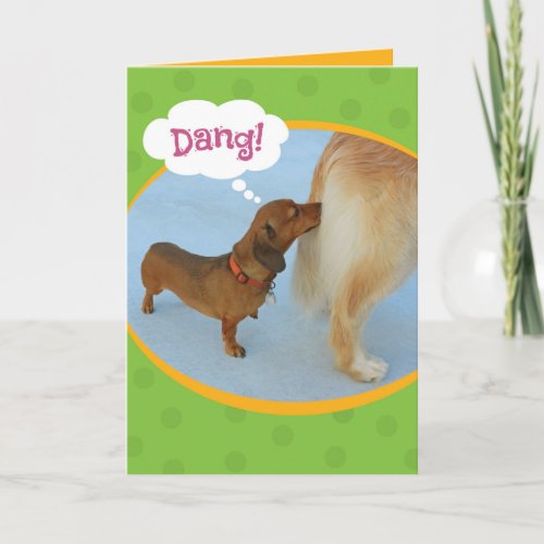 Funny Wiener Sniffing Golden Retiever Birthday Card