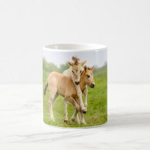 Funny Wild Konik Horses Foals Playing Together - Coffee Mug