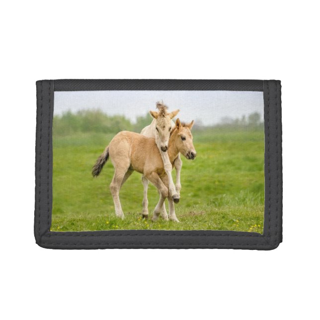 Funny Wild Konik Horses Foals Playing Together - Trifold Wallet (Front)