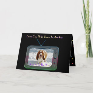 Funny "Wild Thing" Birthday Card W/Basset Hound