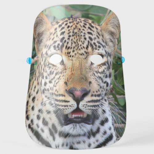 funny wildlife forest jungle animal snow leopard face shield