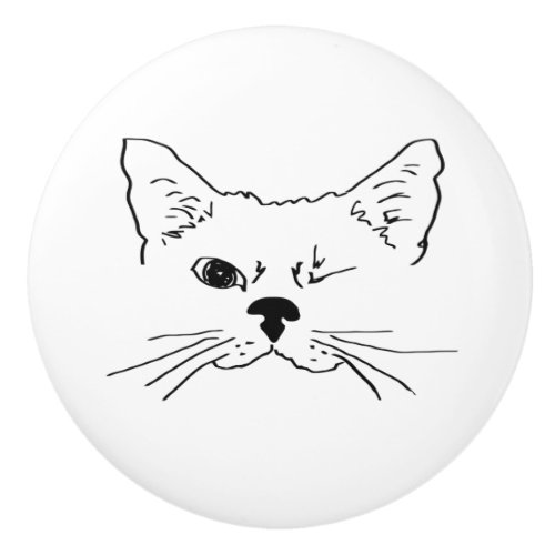 Funny Winking cat or kitten winking  Hand drawn Ceramic Knob