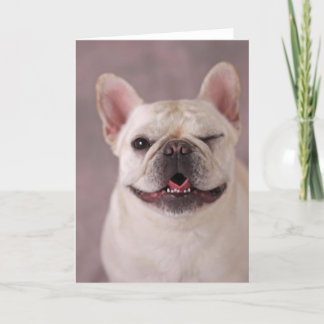 Funny winking Dog French Bulldog Card