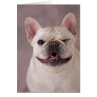 Funny winking Dog French Bulldog Card