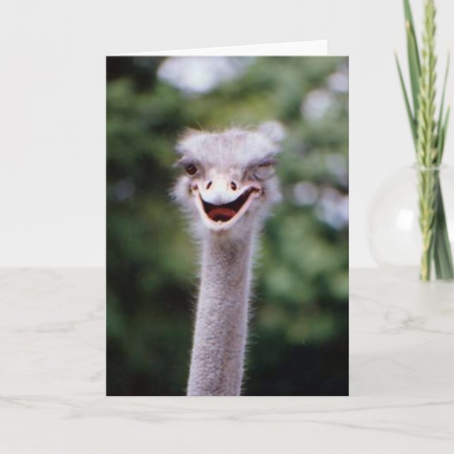 Funny Winking Ostrich Greeting Card (Customizable) (Front)
