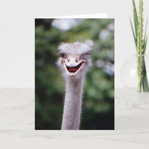 Funny Winking Ostrich Greeting Card Customizable