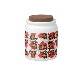 Funny Wire Haired Dachshund Christmas Pattern Candy Jar