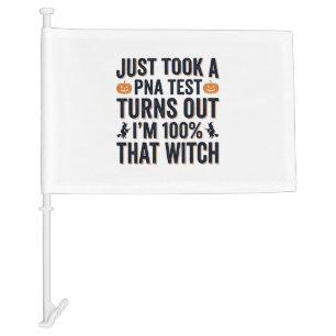 Funny Witch Test Halloween Quote Vector Design_1 Car Flag