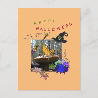 Funny Witch Toad Cartoon Humor Halloween Postcard