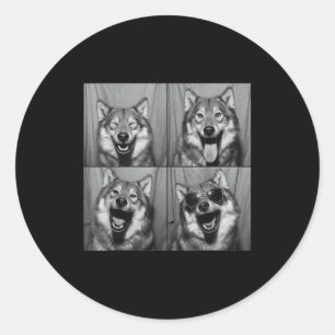Funny Wolf Photo Booth Sungles Dog  Classic Round Sticker