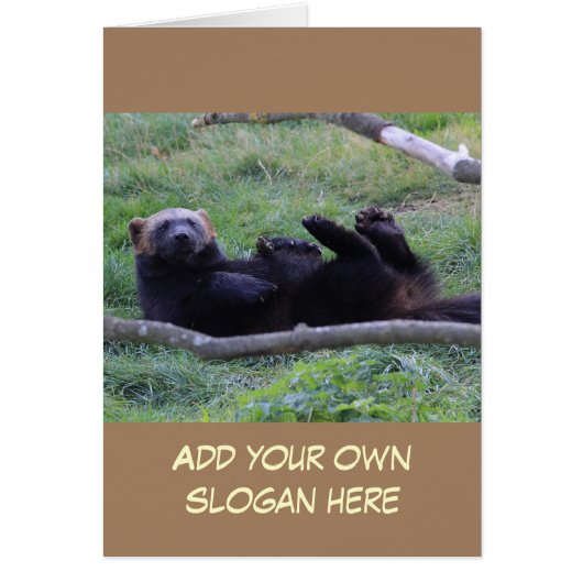 Funny Wolverine Photo to Customize Yourself Cards (Front)