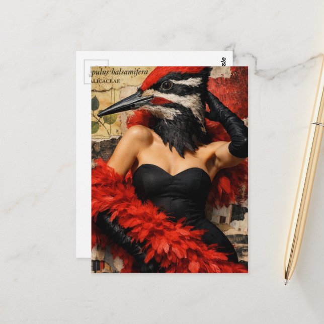 Funny Woodpecker in a black dress fantasy collage Postcard (Front/Back In Situ)