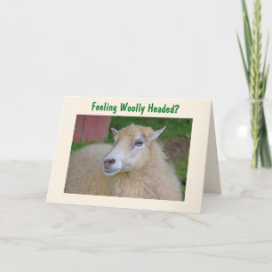 Funny Woolly Sheep Get Well Card
