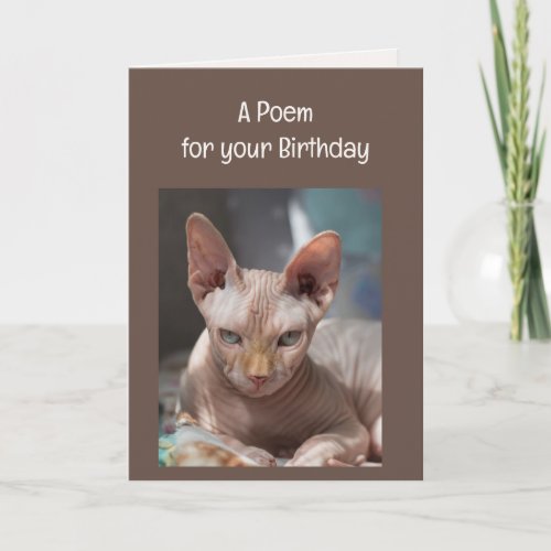 Funny Wrinkles Old Age Over the Hill Cat Animal  Card