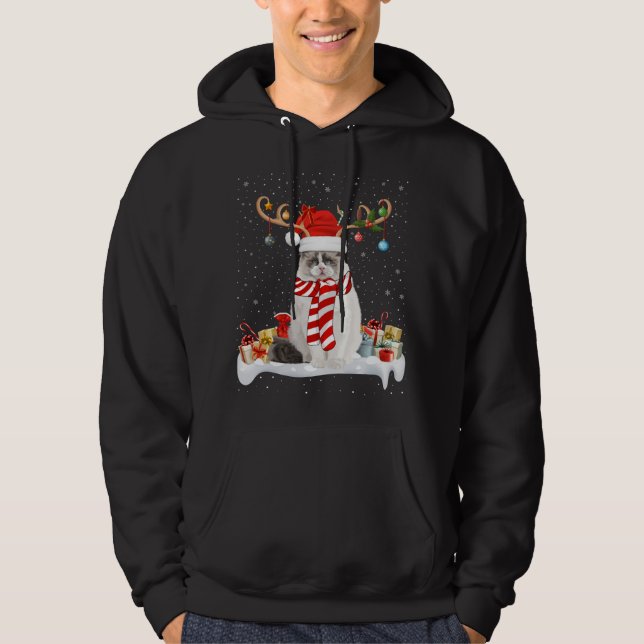 Funny Xmas Lighting Reindeer Santa Hat Ragdoll Cat Hoodie (Front)