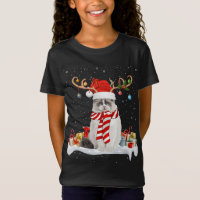 Funny Xmas Lighting Reindeer Santa Hat Ragdoll Cat