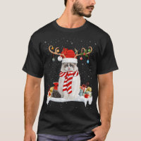 Funny Xmas Lighting Reindeer Santa Hat Ragdoll Cat