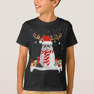Funny Xmas Lighting Reindeer Santa Hat Ragdoll Cat T-Shirt