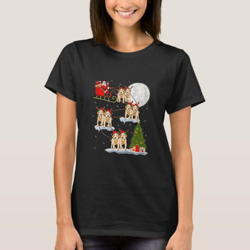 Funny Xmas Lighting Tree Santa Riding Labrador T_Shirt