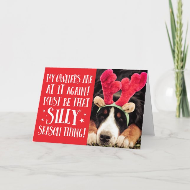 Funny Xmas Quote Pets Christmas Greeting Card (Front)