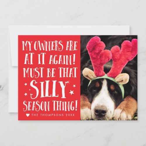 Funny Xmas Quote Pets Christmas Greeting Flat Card