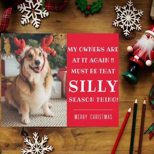 Funny Xmas Quote Pets Christmas Greeting Flat Card