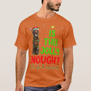 Funny Xmas Tree Is This Jolly Enough Irish Setter T-Shirt