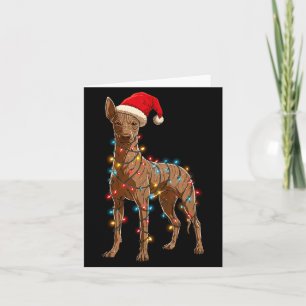 Funny Xoloitzcuintli Christmas Graphic Dog Lights  Card