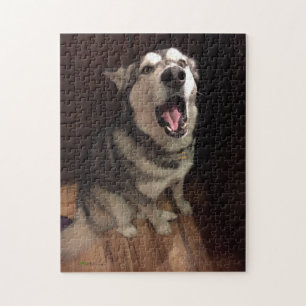 Funny Yawning Alaskan Malamute Photograph Jigsaw Puzzle