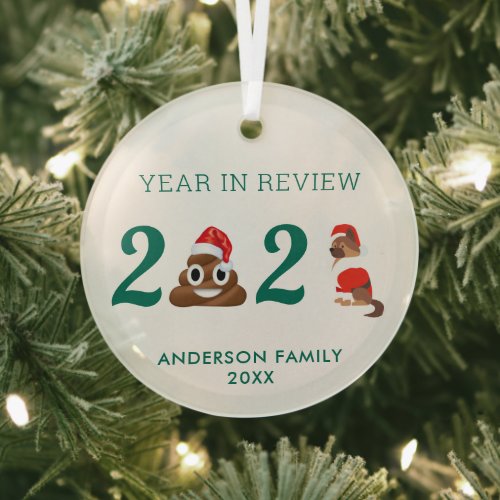 Funny Year in Review Christmas Dog Quarantine Poop Glass Ornament