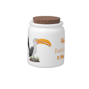 Funny yellow billed hornbill safari bird cartoon candy jar