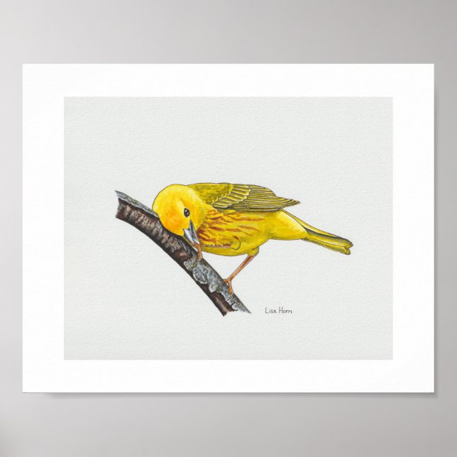 Funny Yellow Warbler Art Print (Front)