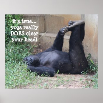 Funny Yoga Gorilla Poster (16x20) by PicturesByDesign at Zazzle