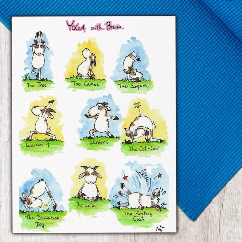 Funny Yoga postcard 