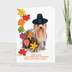 Funny Yorkie Thanksgiving Card