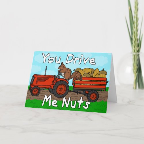 Funny You Drive Me Nuts Squirrel Pun Valentines Holiday Card