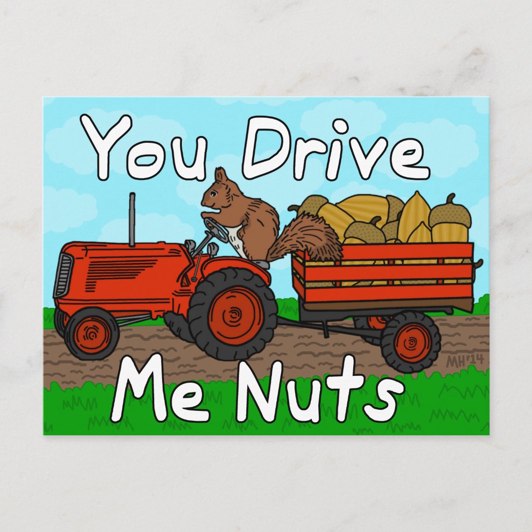 Funny You Drive Me Nuts Squirrel Pun Valentine's Holiday Postcard Zazzle